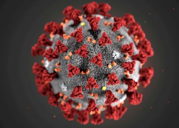 coronavirus-variante-saude-brasilia