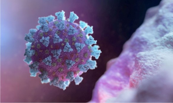 aplicativo-tosse-covid-saude-brasilia