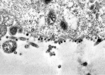 coronavirus-variante-delta-saude-brasilia