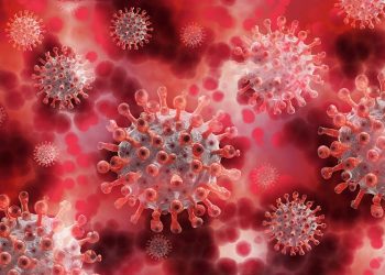 trombose-covid-coronavirus-saude-brasilia