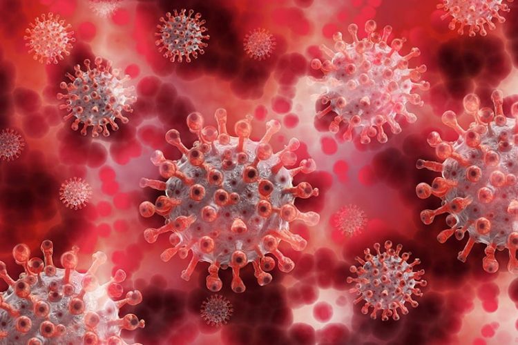 trombose-covid-coronavirus-saude-brasilia