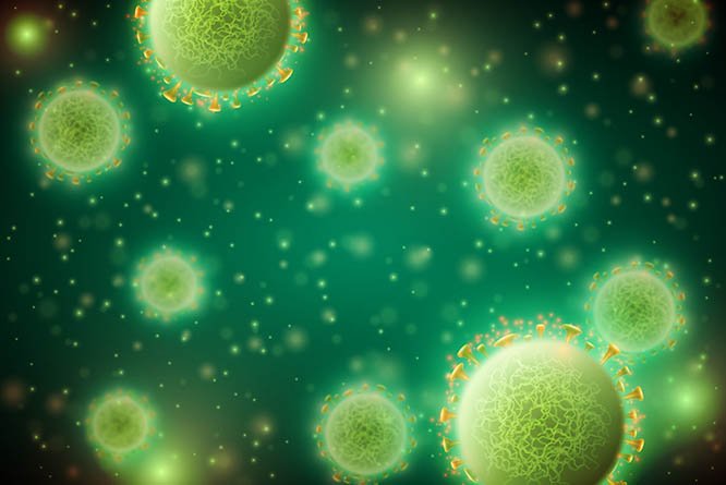 usp-molecula-inativa-coronavirus-saude-brasilia-df