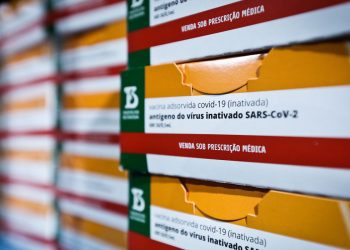 CoronaVac: Resultados preliminares mostram segurança em crianças