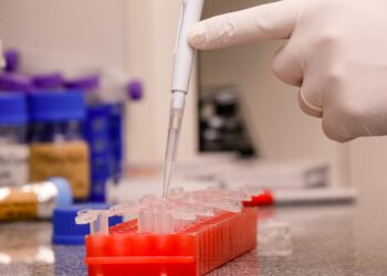 Pesquisadores da USP isolam variante ômicron do vírus da Covid-19