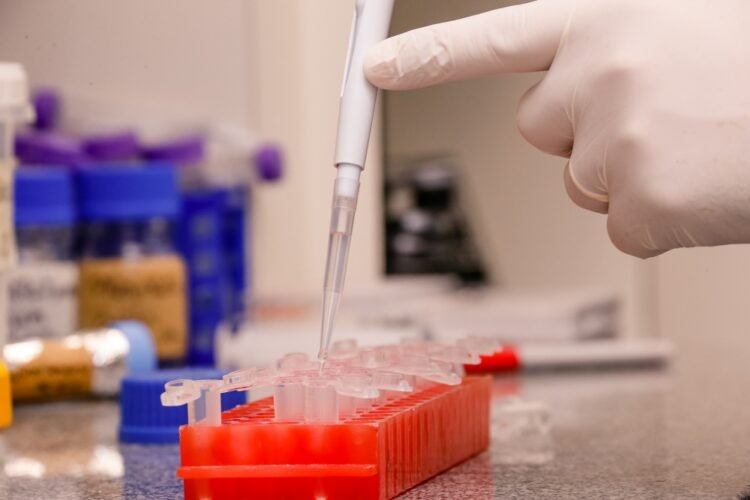 Pesquisadores da USP isolam variante ômicron do vírus da Covid-19