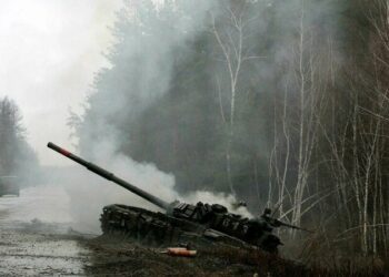 Saúde única em tempos de guerra