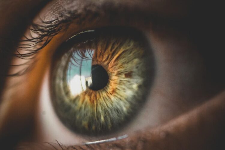 Dia Nacional de Combate ao Glaucoma: doença é a principal causadora de cegueira irreversível