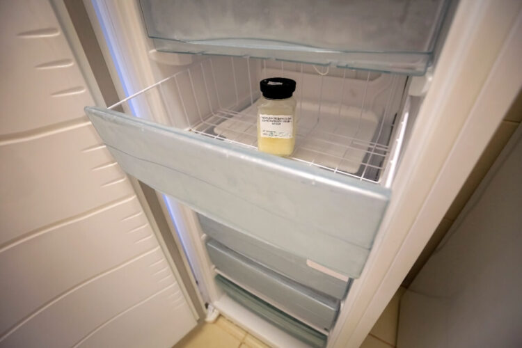 Bancos de Leite precisam de doação de leite materno