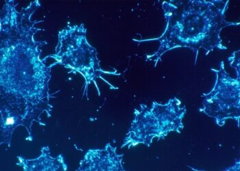 Tratamentos contra o câncer que modificam geneticamente células de defesa avançam em SP