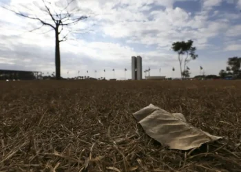 Seca em Brasília: umidificadores oferecem alívio, mas exigem atenção