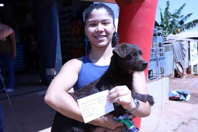 Vacinação contra a raiva: saiba onde vacinar cães e gatos gratuitamente neste sábado (21)